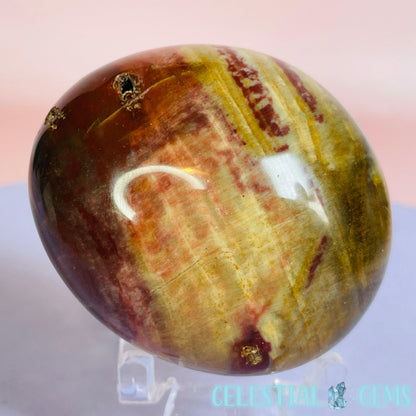 Petrified Wood Palmstone 5-5.5cm