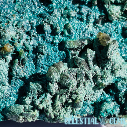 Gem Silica + Quartz + Chrysocolla Raw Medium Cluster Chunk