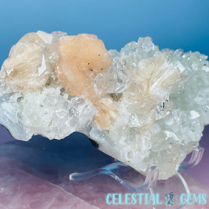 A Grade Diamond Apophyllite + Peach Stilbite Medium Cluster