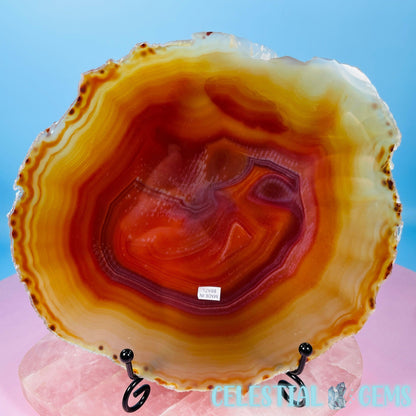 Natural Carnelian Agate Large Polished Slice