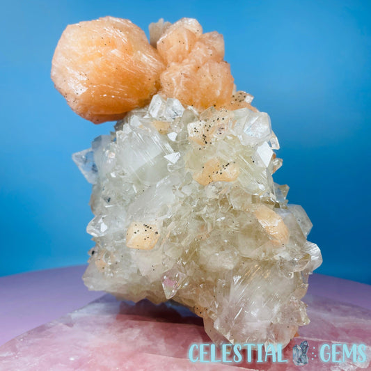 A Grade Diamond Apophyllite + AAA Grade Peach Stilbite Large Cluster