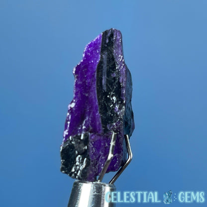 Rare Sugilite Raw Mini Crystal in Specimen Pottle