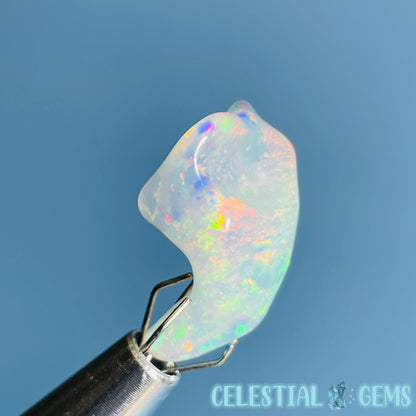 AAA Ethiopian 'Fire' Welo Opal Polished Mini Crystal in Specimen Pottle (Video)