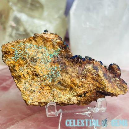 Druzy Azurite + Dolomite Small Specimen E