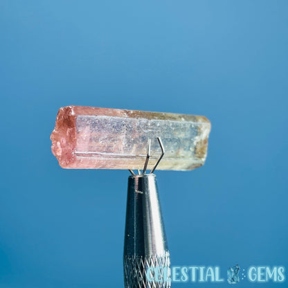 Bi-Colour Pink Yellow Tourmaline Whole Crystal Small Specimen in Display Frame