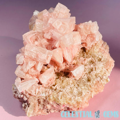 Rare Pink Halite on Trona Medium Specimen