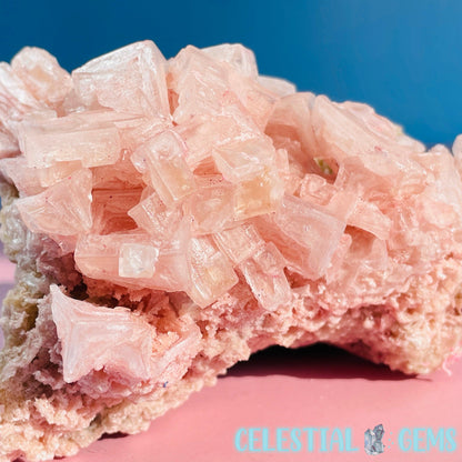 Rare Pink Halite on Trona Medium Specimen