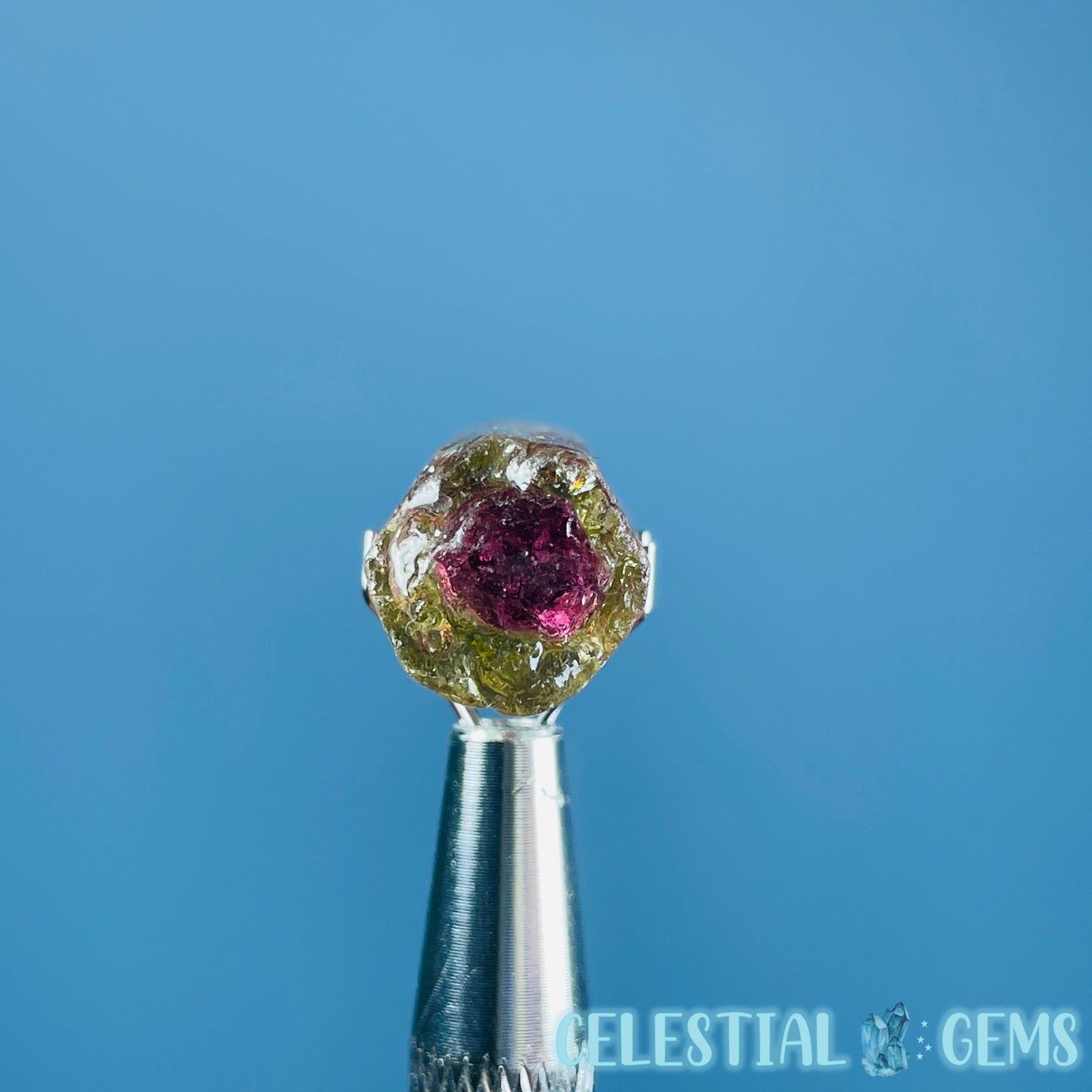 Watermelon Tourmaline Whole Crystal Mini Specimen in Display Frame (Video)