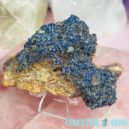 Druzy Azurite + Dolomite Small Specimen D