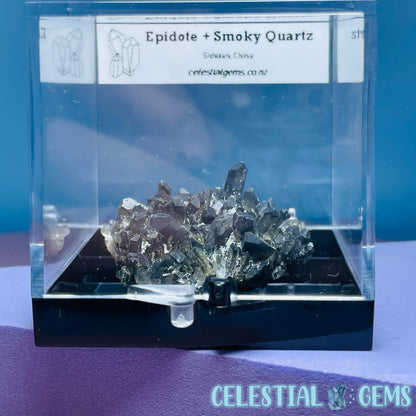 Epidote + Smoky Quartz Small Cluster Specimen