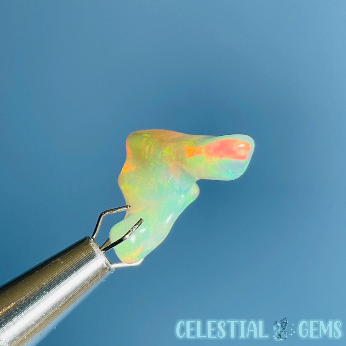 AAA Ethiopian 'Fire' Welo Opal Polished Mini Crystal in Specimen Pottle (Video)