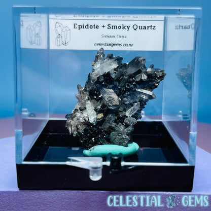 Epidote + Smoky Quartz Small Cluster Specimen