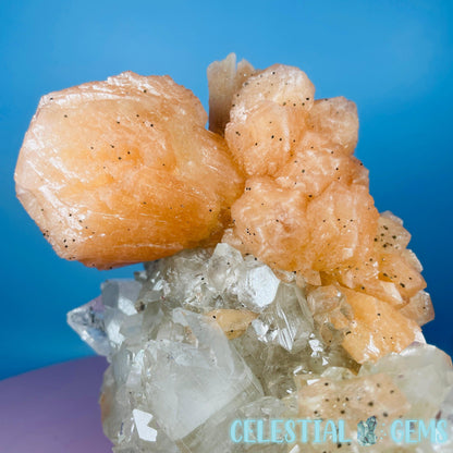 A Grade Diamond Apophyllite + AAA Grade Peach Stilbite Large Cluster