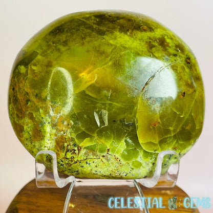 Green Opal Palmstone