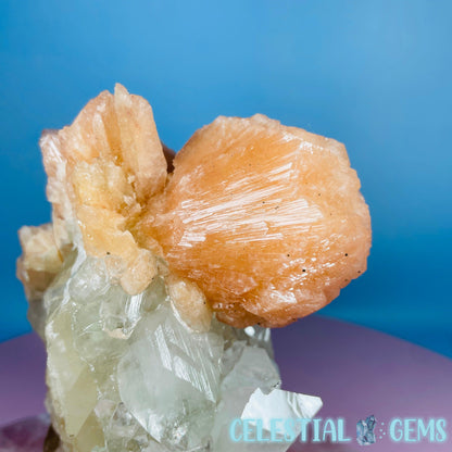 A Grade Diamond Apophyllite + AAA Grade Peach Stilbite Large Cluster