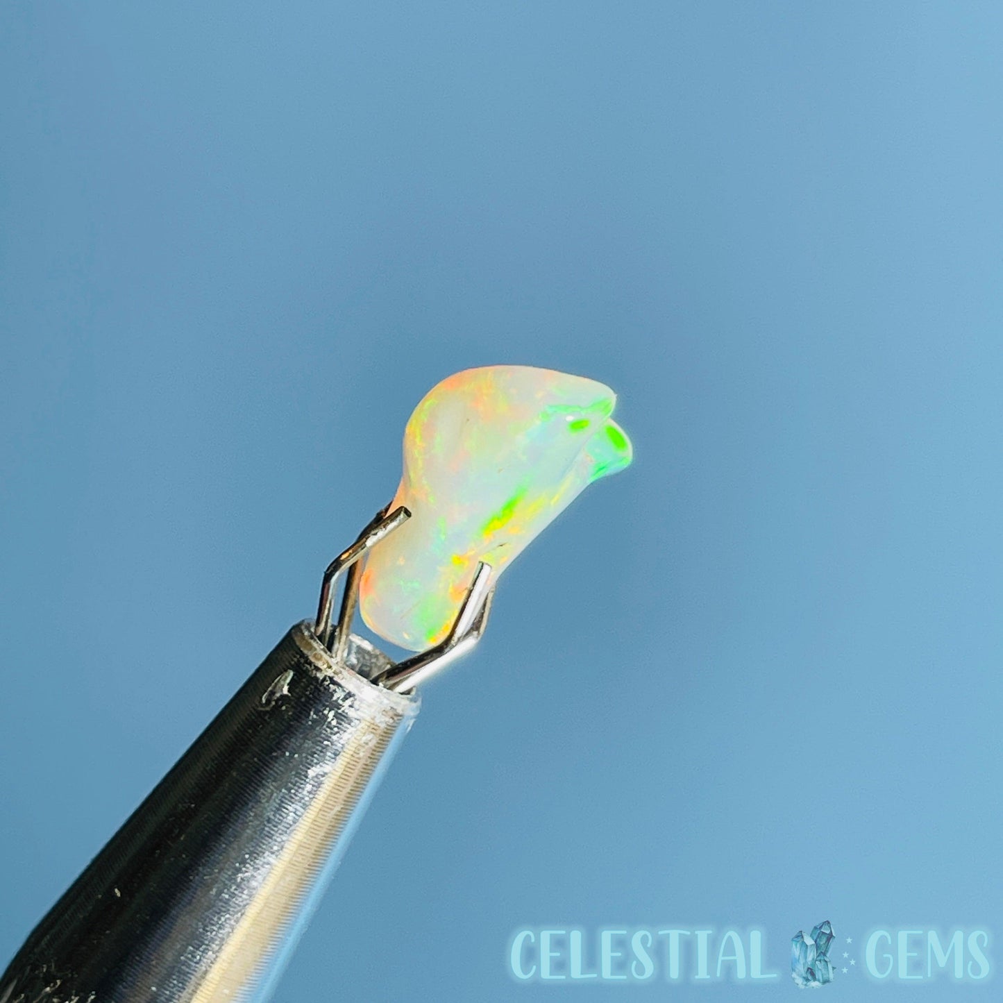 AAA Ethiopian 'Fire' Welo Opal Polished Mini Crystal in Specimen Pottle (Video)