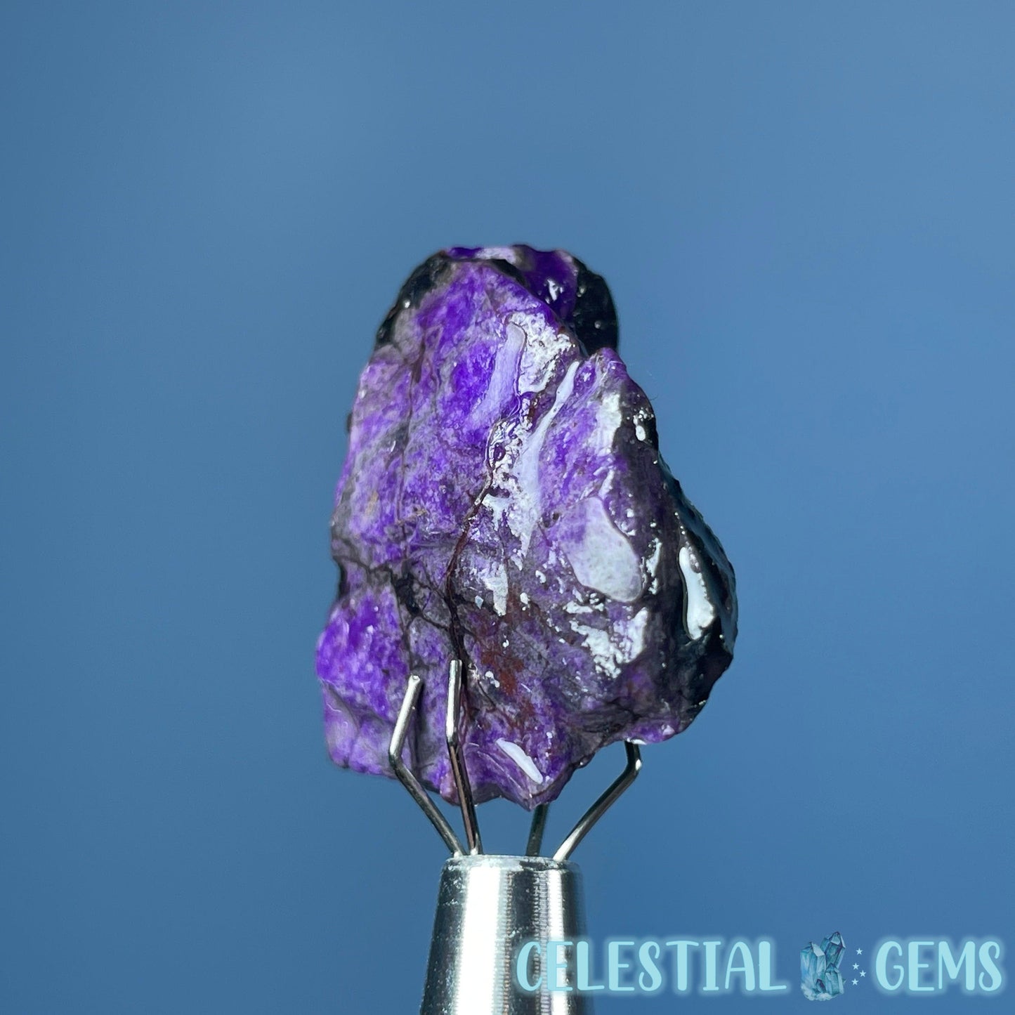 Rare Sugilite Raw Mini Crystal in Specimen Pottle