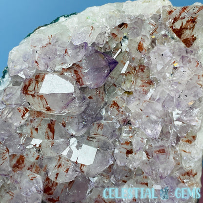 Amethyst Medium Standing Cluster (with Phantom Hematite)