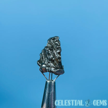 Argentina 'Campo del Cielo' Mini Meteorite Piece in Specimen Pottle