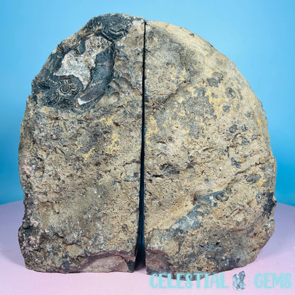 Black Agate Large Pair of Bookends