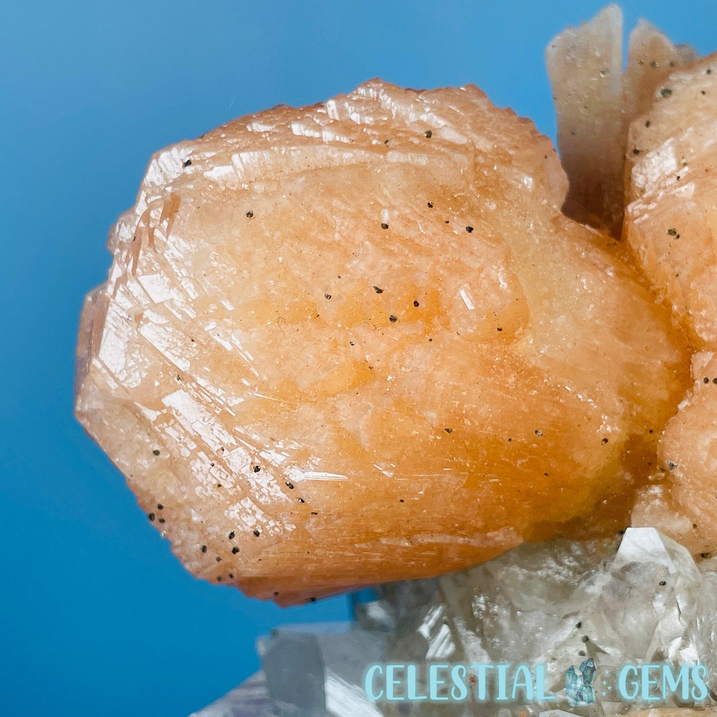 A Grade Diamond Apophyllite + AAA Grade Peach Stilbite Large Cluster