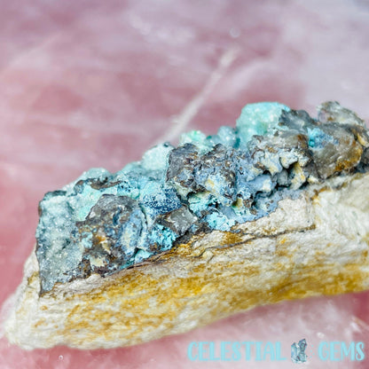 Druzy Chrysocolla  + Chalcedony Small Specimen