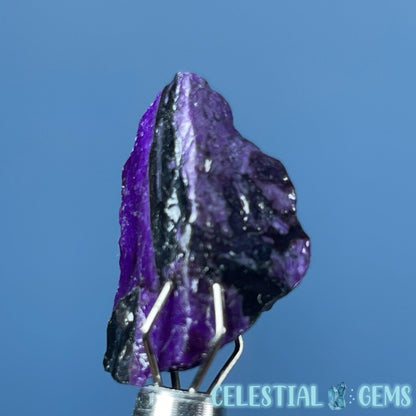 Rare Sugilite Raw Mini Crystal in Specimen Pottle