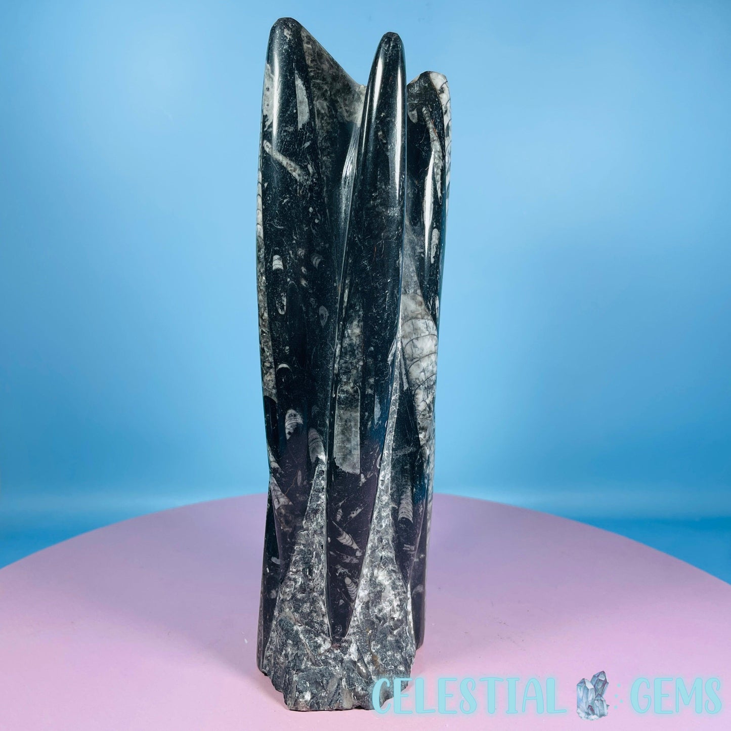 Orthoceras Fossil Shell Large Standing Sculpture