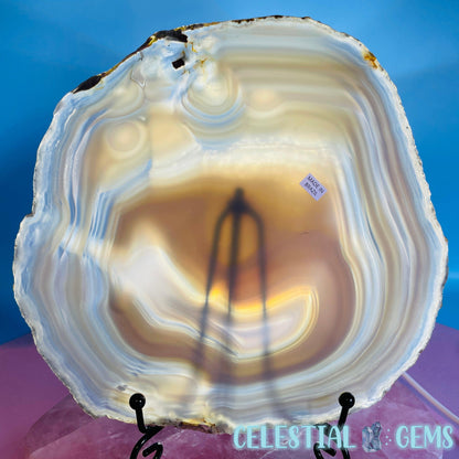 Natural Grey Agate Large Polished Slice