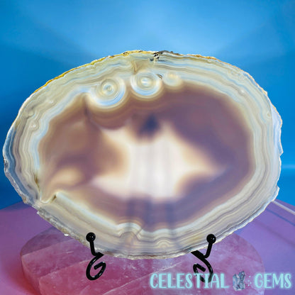 Natural Grey Agate Large Polished Slice