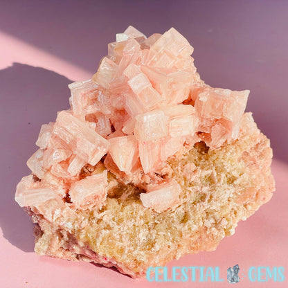 Rare Pink Halite on Trona Medium Specimen