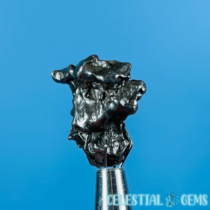 Argentina 'Campo del Cielo' Mini Meteorite Piece in Specimen Pottle