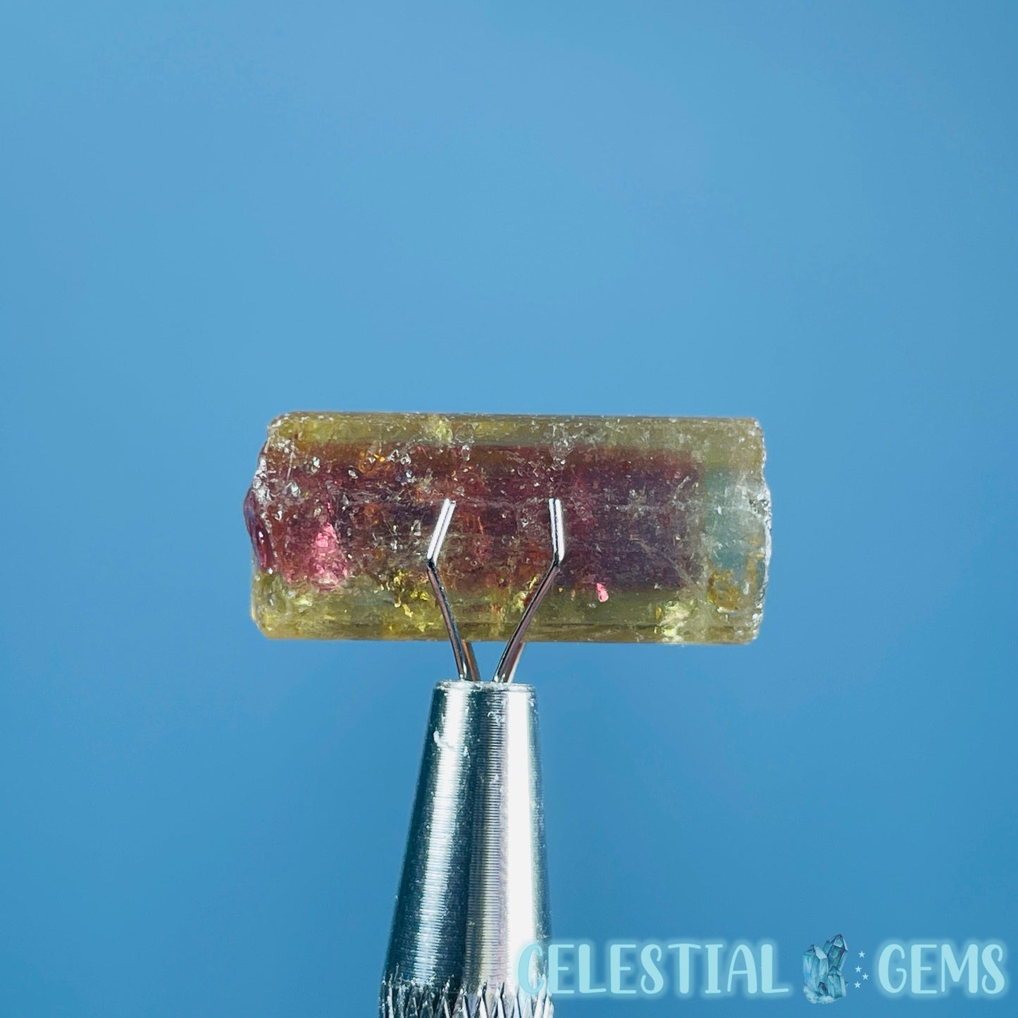 Watermelon Tourmaline Whole Crystal Mini Specimen in Display Frame (Video)