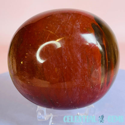 Petrified Wood Palmstone 6-7cm