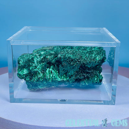 Plastic Crystal/Mineral/Specimen Large Display Box 10cm (Empty)