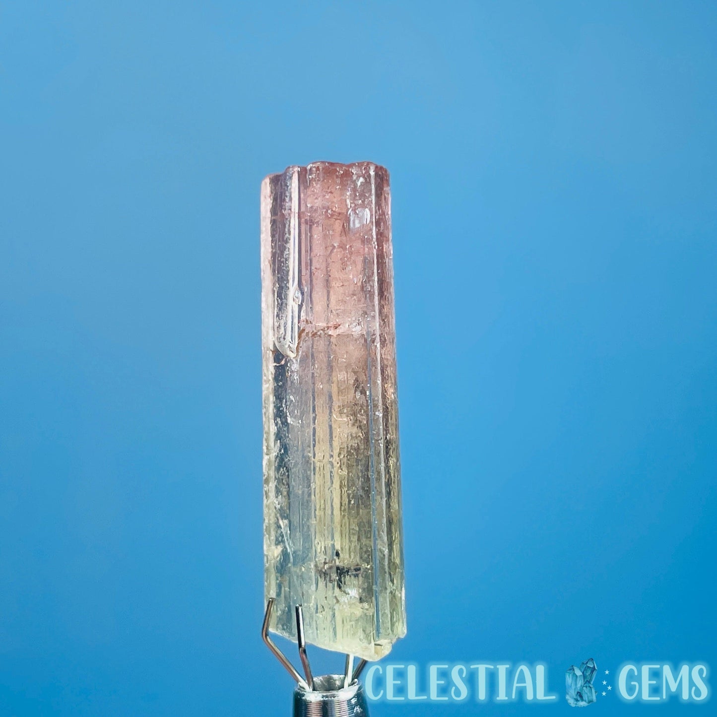 Bi-Colour Pink Yellow Tourmaline Whole Crystal Small Specimen in Display Frame