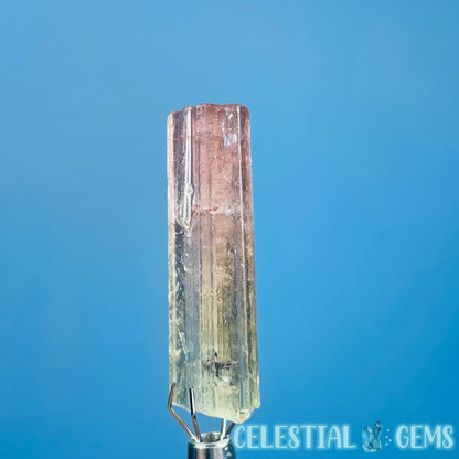 Bi-Colour Pink Yellow Tourmaline Whole Crystal Small Specimen in Display Frame