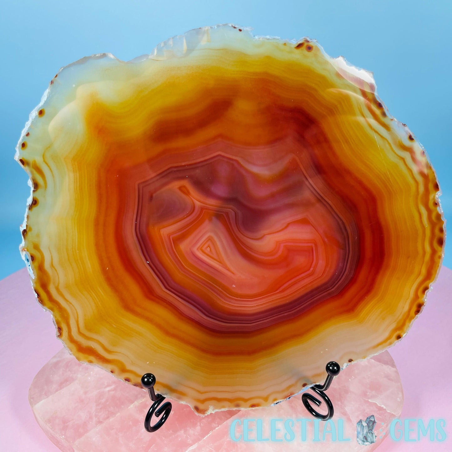 Natural Carnelian Agate Large Polished Slice