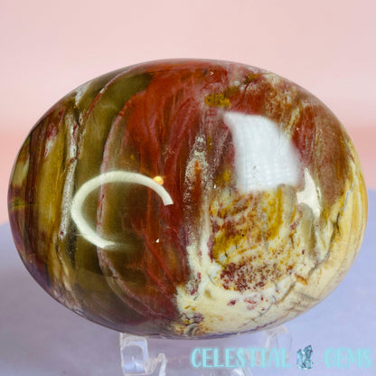 Petrified Wood Palmstone 6-7cm