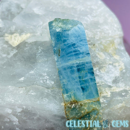 Aquamarine Specimen in Smoky Quartz Large Raw Chunk