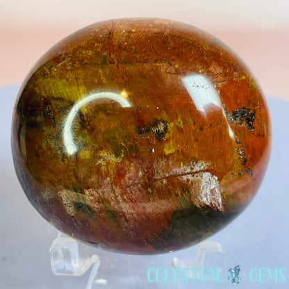 Petrified Wood Palmstone 5-5.5cm