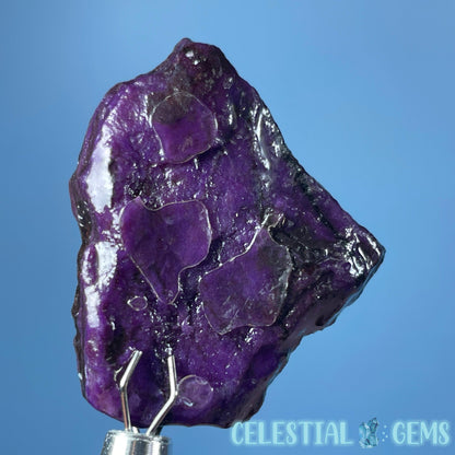 Rare Sugilite Raw Small Crystal in Specimen Box