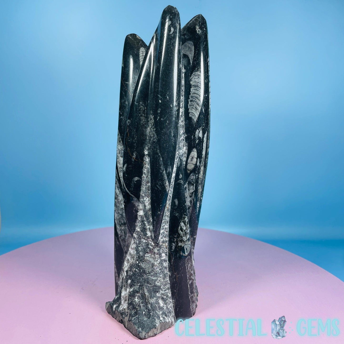 Orthoceras Fossil Shell Large Standing Sculpture