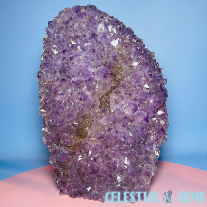 Amethyst Large Standing Cluster (with Cacoxenite)