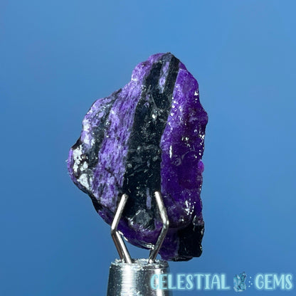 Rare Sugilite Raw Mini Crystal in Specimen Pottle