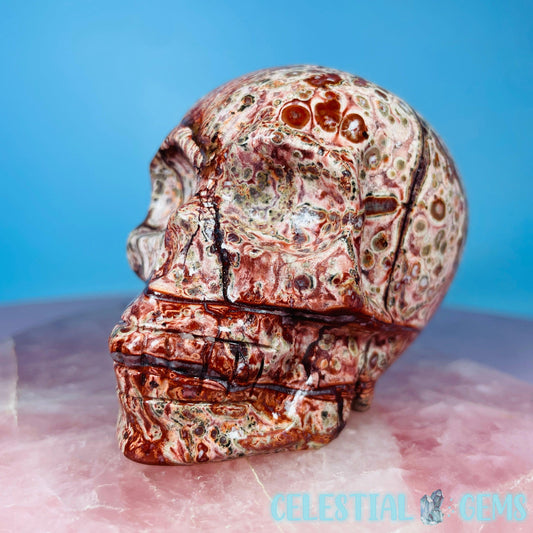 Leopardskin Jasper Skull Medium Carving