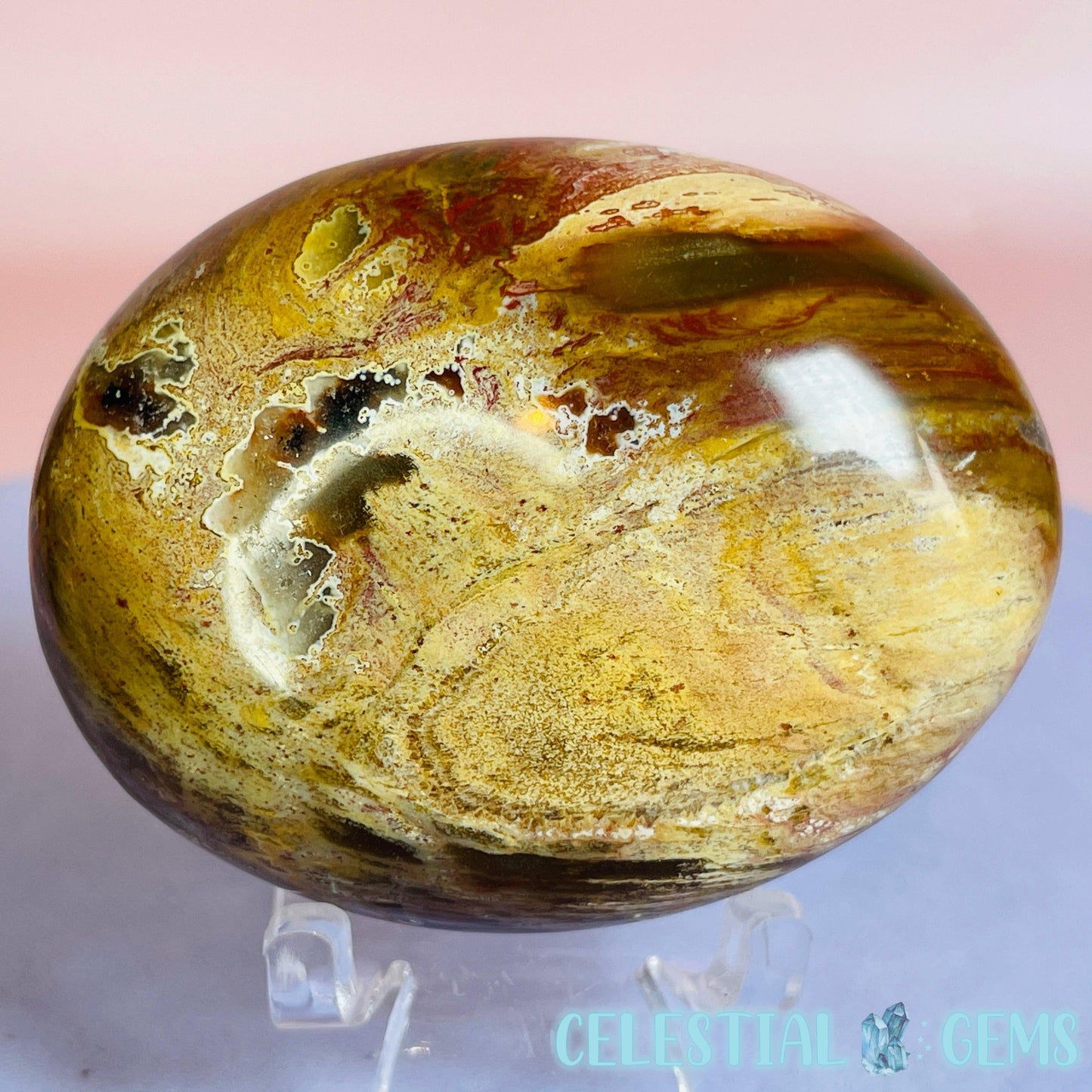 Petrified Wood Palmstone 5-5.5cm