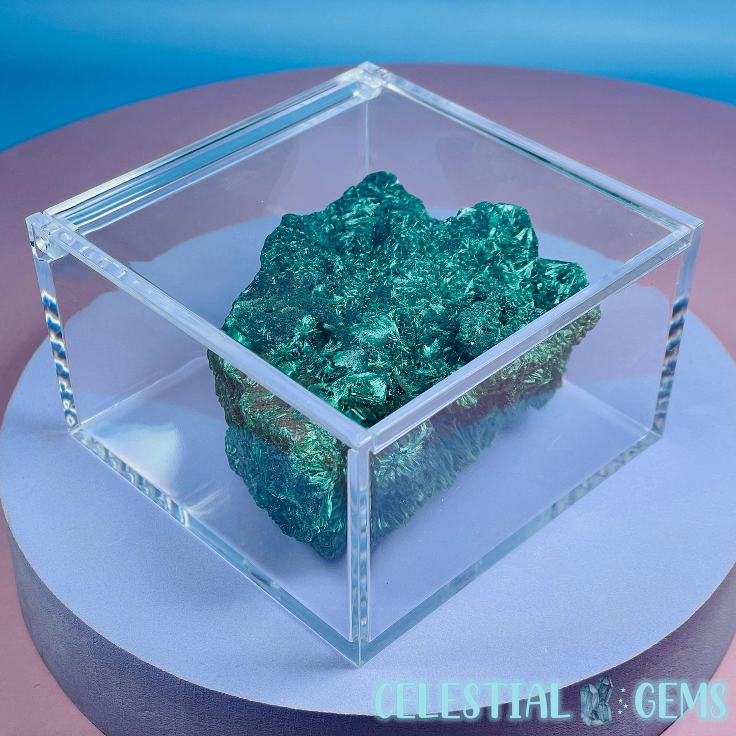 Plastic Crystal/Mineral/Specimen Large Display Box 10cm (Empty)