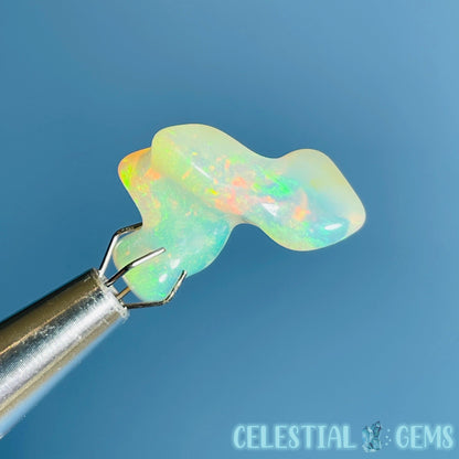 AAA Ethiopian 'Fire' Welo Opal Polished Mini Crystal in Specimen Pottle (Video)