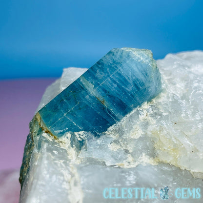 Aquamarine Specimen in Smoky Quartz Large Raw Chunk